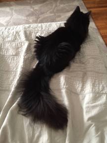 11886139_10206297566970807_2908449272992223500_o