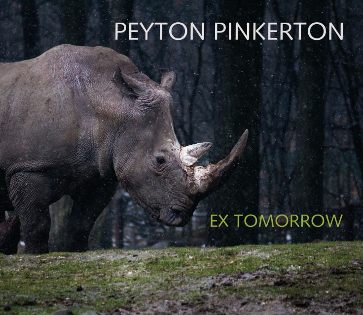 Peyton Pinkerton: Ex Tomorrow CD cover rhino in front of silhouetted trees